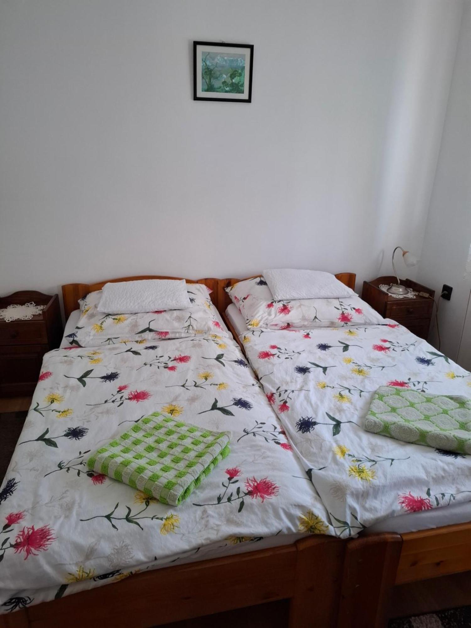 Marti Vendeghaz Villa Hegykő Eksteriør billede